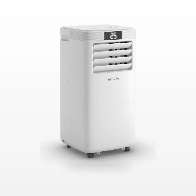 Olimpia Splendid Dolceclima 10 HP